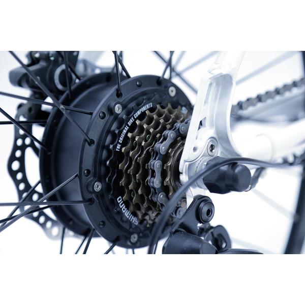 White Water Proof Electric City Bike With Fender,250w 36v, 7 speed , front suspemsion