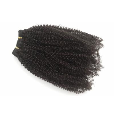Do Virgin peruano perverso do cabelo encaracolado do Afro o cabelo humano empacota a densidade completa nenhuns piolhos nenhum emaranhado
