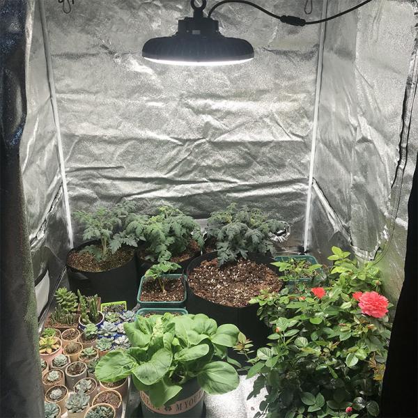 120*60*150 Cm 48*24*60 Inch Indoor Garden Tent For Hydroponic Grow