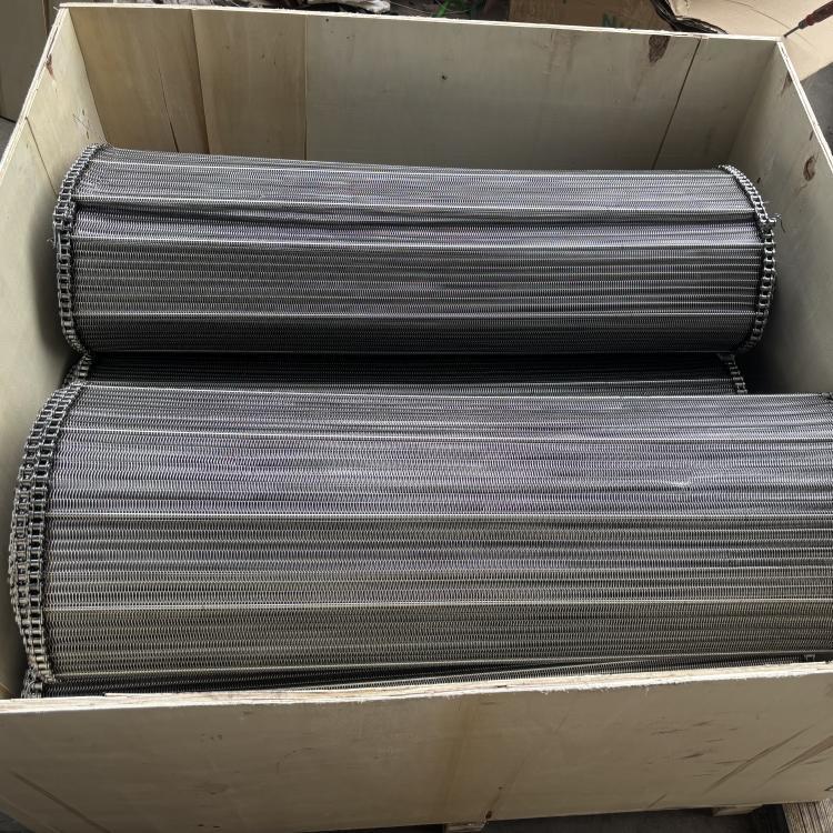 SS304 Balanced Weave Wire Mesh Conveyor Belt for Food Drying Cooling Lines