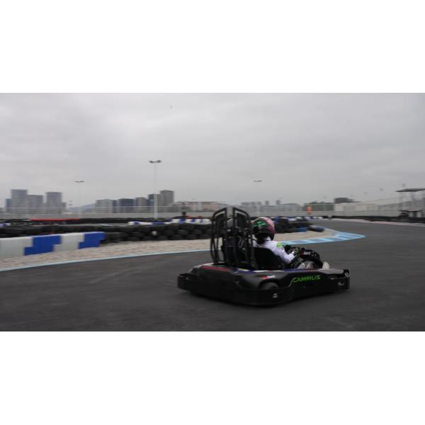 электрические моторизованные одиночные 9kw идут Kart 3000RPM на 10 год - дети olds