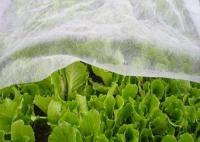 Durable PP hydrophile non tissé anti-insectes Transmission de la chaleur de la lumière pour l'agriculture