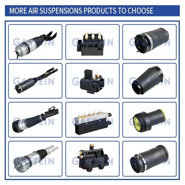 4E0616039AF 4E0616040AF A8 D3 Audi Air Suspension Parts