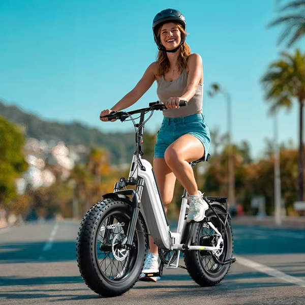 All Terrain 20 4.0 Fat Tire Folding Electric Hybrid Bike Steel Frame 7-Speed 48V 15AH Lithium Battery Brushless Rear Hub Motor