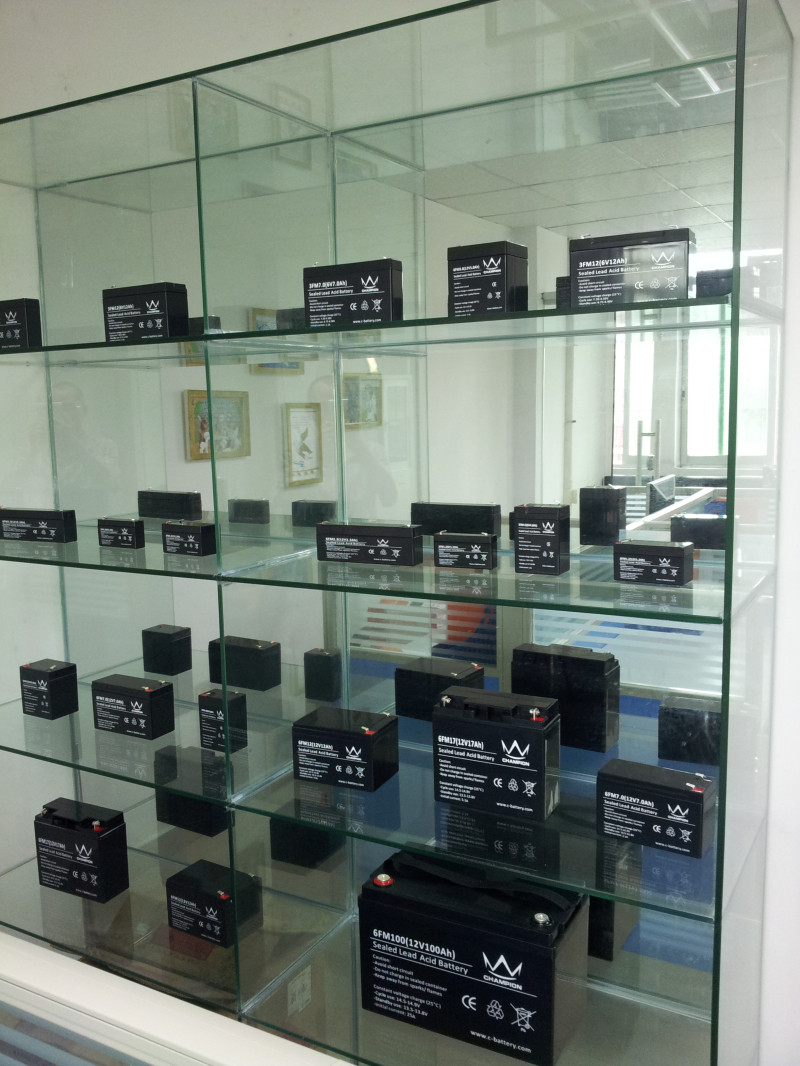 Gel тип батарея 12v50ah глубокого цикла электротранспорта тележки гольфа длинной жизни свинцовокислотная