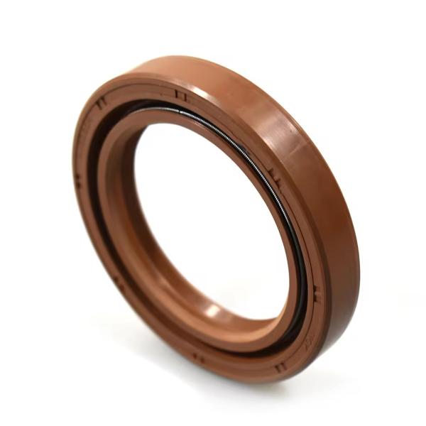 DCY DC AW3055 Anillo de sello de aceite NBR caucho metálico FKM doble sello de aceite de resorte alta presión