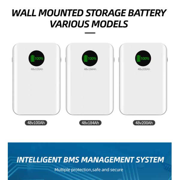 ROSH Lifepo4 51.2V Аккумуляторная батарея