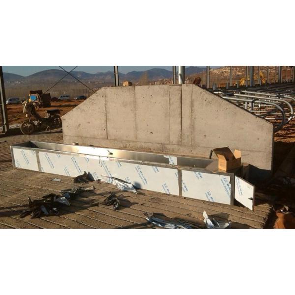 La ordeñadora del canal animal del agua del ganado de la vaca ahorra el acero inoxidable