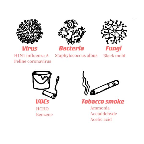 Домашний дезинфицирующий воздух для вирусов, бактерий, грибков, ЛОС, табачного дыма