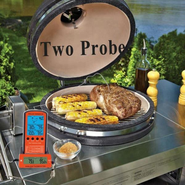 DTH-106 Wireless Remote BBQ Thermometer Dual Probe Digital Cooking Meat Food Oven Thermometer