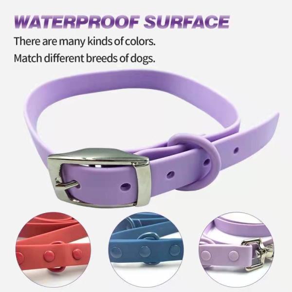 Collier pour chien en PVC imperméable à l'eau et laisse