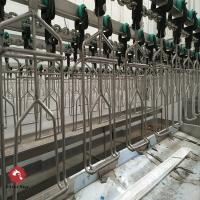 Machine automatique 300BPH d'abattage de poulet de volaille halal à 10000BPH