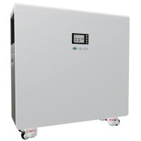 ES 48100 Bateria de armazenamento de energia para o lar ¥ 5,12 kWh LiFePO4 com BMS, capacidade personalizável, instalação em parede/chão