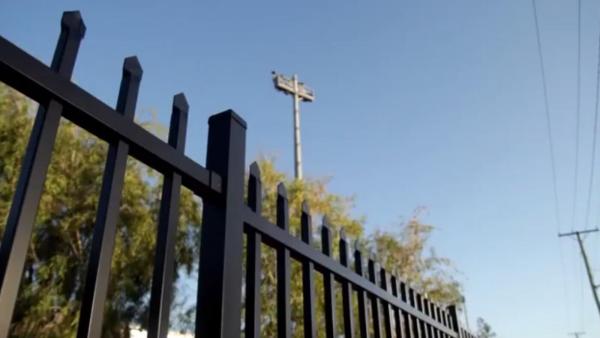 Decorative Euro Steel Fence Tubular Q235 1800mm x 2950mm 25mm square pipes Stain Interpon Powder