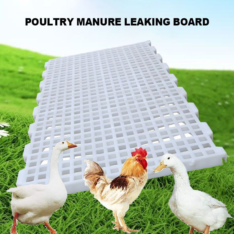 100% Virgin PP Poultry Slat Flooring White Poultry Farm Plastic Floor Corrosion Resistant