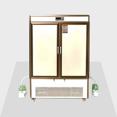 AC220V Medicine Stability Test Box 2 Block 3 Block 150L - 1000L