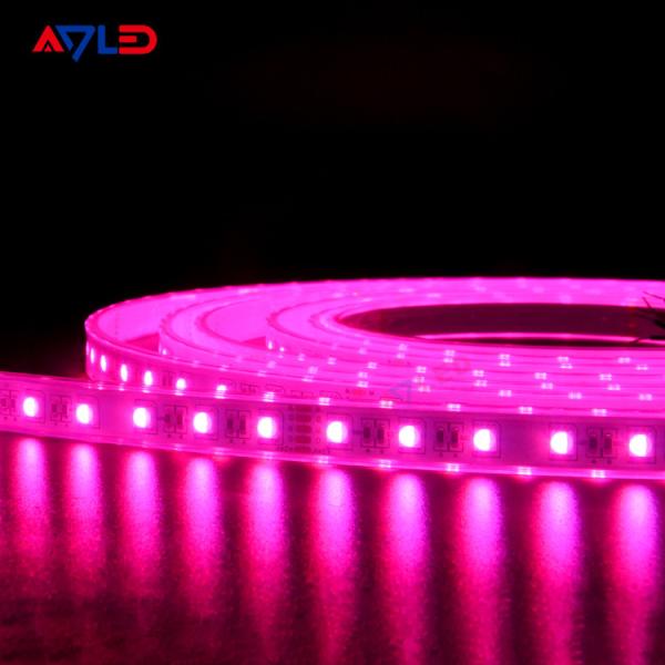 IP65 IP67 IP68 RGBW LED Strip Lights Color Changing Outdoor 4 In 1 5050 5 Pin 12V 24V