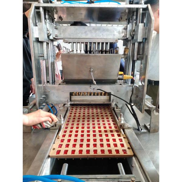 Choice 500 KG Hard Soft Jelly Candy Machine Production Line for Sugar and Gelatin Candy