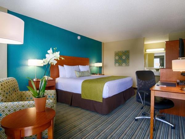 Sulawesi Celebes american style hotel room furniture by Cherry wood headboard Bed with Tall cabinet for TV and wood desk