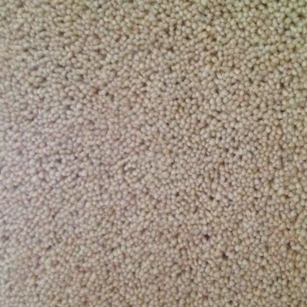 Ковер нейлона шерстей спальни Анти--выскальзывания, фасонирует Ультра-мягкий ков