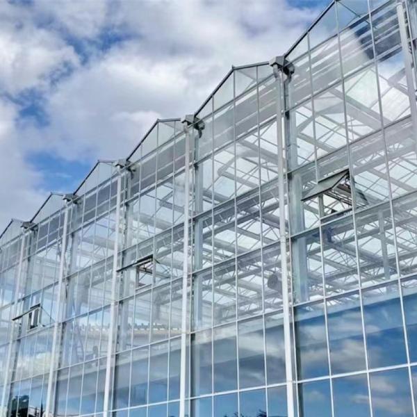 Système hydroponique de serre commercial personnalisé et abordable à des prix raisonnables