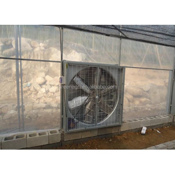 Large Single Layer PE Film Multi-Span Agricultural Greenhouse Metal Frame Cold Frame