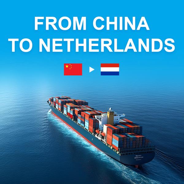 20ft 40ft conteneur agent de fret océanique de Chine aux Pays-Bas