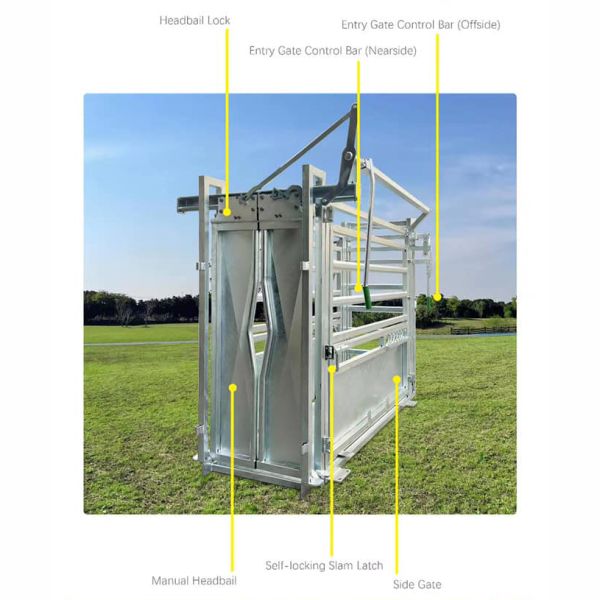 Compact Design Cattle Crushing Machine Allowing Easy Installation and Space Saving in Livestock Processing Environments