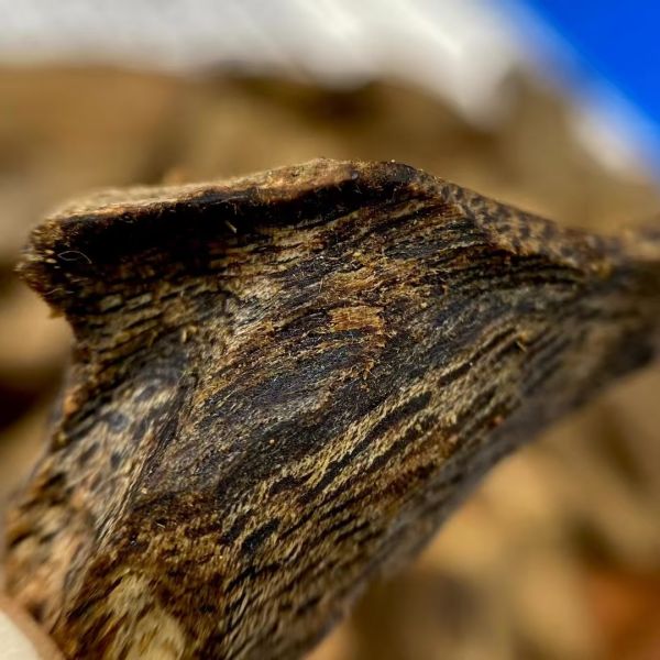 Bulk OUD Agarwood natural agarwood wood and resin for essential oil extraction perfume and incense product manufacturing
