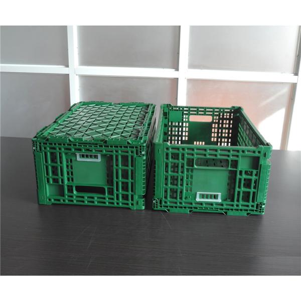 Green or Customized Collapsible Plastic Mesh Box for Vegetable and Fruit Distribution