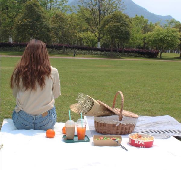 Handmade Natural Willow Wicker Picnic Basket Cheap Lunch Bags Hot sale products Outdoor Lunch Basket