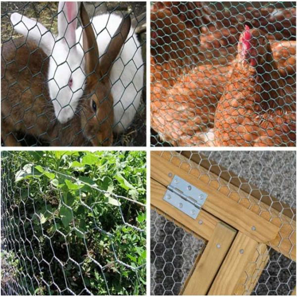 Crab Lobster Fish Trap Chicken Wire Netting Galvanized Hexagonal Wire Mesh