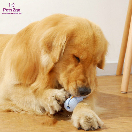 Игрушки жевания любимца Pets2go взаимодействующие резиновые 127x44mm