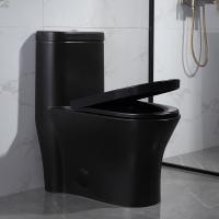 Toalete de Ada Dual Flush One Piece com resplendor do lado 0.8/1.28 Wc 765MM do hotel de Gpf