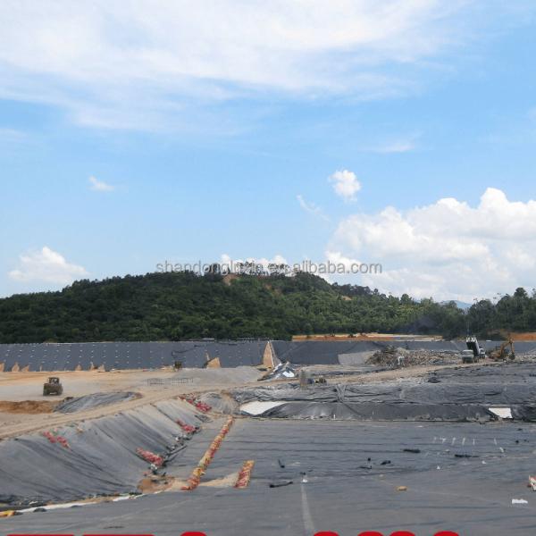 Double Smooth Surface HDPE Geomembrane for Industrial Artificial Lake and Tank Lining