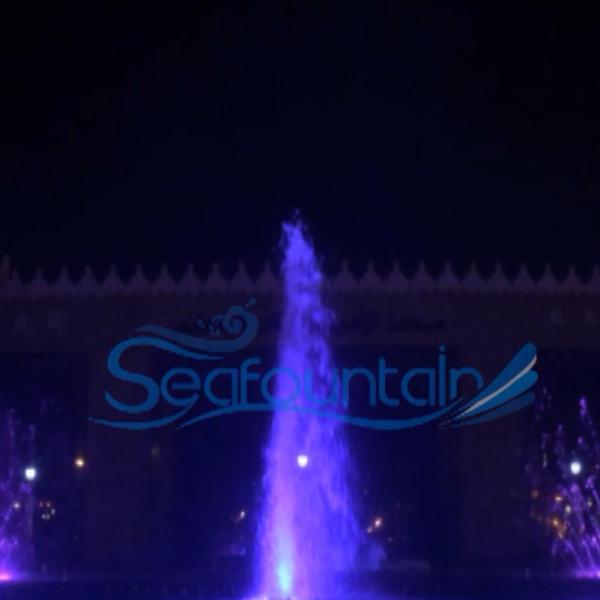 Mariez la fontaine d'eau accessoire changée