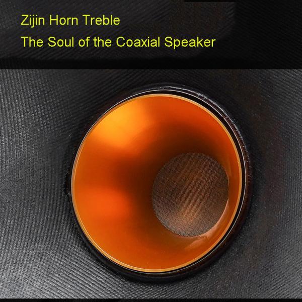 Oradores de alta fidelidade coaxiais da estante de 12 polegadas, orador Audiophile 220W de Bluetooth