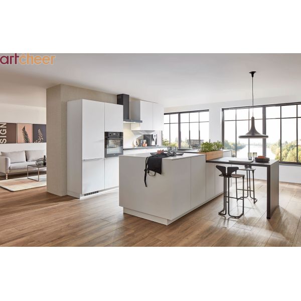 Eco-Friendly Modular Kitchen Cabinets with 5 Year Warranty and Customizable Color Options