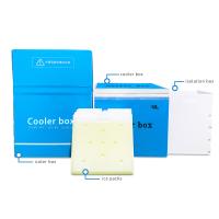 Eco Friendly Ice Box for Medicine Safety Cold Chain Box Vacuum Insulated Panel Box 48h Cold Time