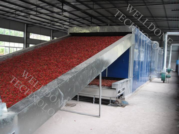 DWF Candied Fruit / Preserved Fruit / Confect Belt Dryer (Special Design)
