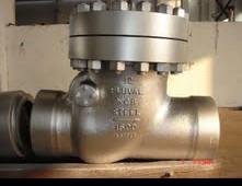 Large Carbon Steel  High-pressure Swing Check Valve with Screw Connection