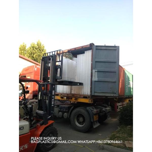 sustainable white chicken cage 680*490*160mm Virgin PP Transportation Chicken Cage