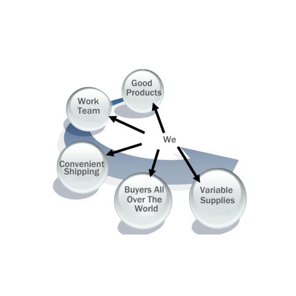 175Kg Italy SAI Hydraulic Motor with High Torque and GEAR MOTOR Type