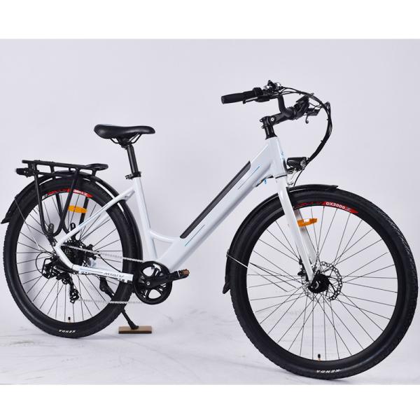 26in Pedal Assist Cargo Bike 30-40km Range Multipattern 0.25KW