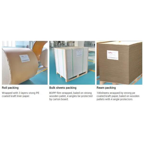 Digital Printing Paper Carbonless Copy Paper For Customized Printing Needs