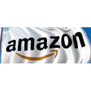Китай Гуанчжоу в США Amazon FBA Shipping International Company