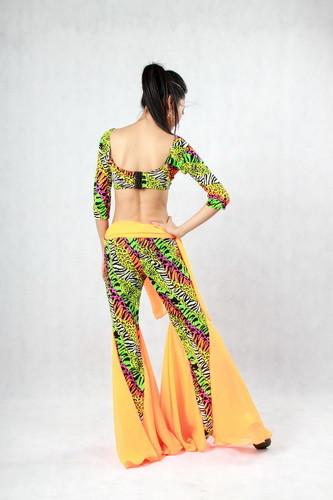 2pcs Animal Printed Belly Dance Training Wear With Pants & Bras Belly Dance Clothes
