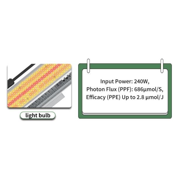 Lumière de culture de serre à LED de 240 W