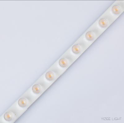 RGB LED Wall Washer Lens Strip Dimmable Outdoor Led Lights With Lens