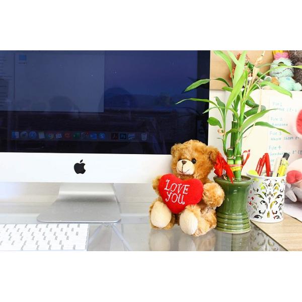 3x6 Inches Plush Teddy Bear 3.2 ounces Wedding Anniversary Gifts